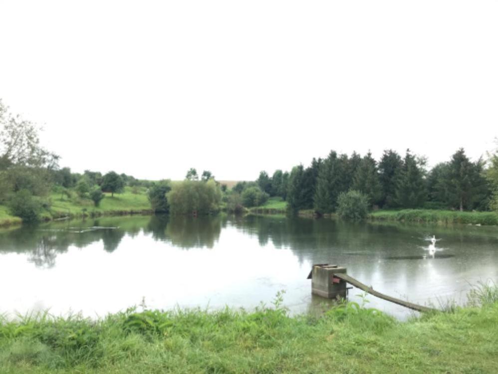 Apartmány Dolní Vítkov Chrastava Esterno foto